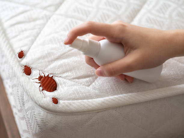 Emergency Pest Control in Ardmore, AL